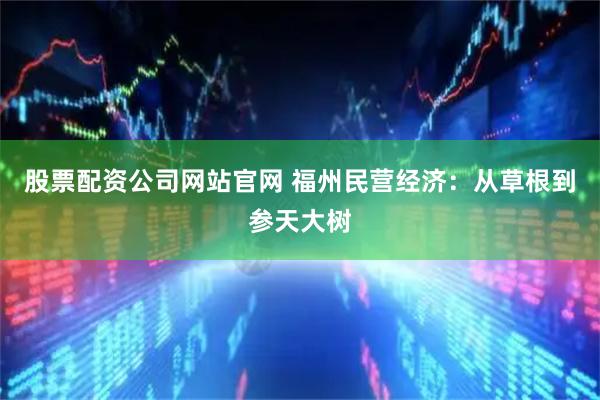 股票配资公司网站官网 福州民营经济：从草根到参天大树