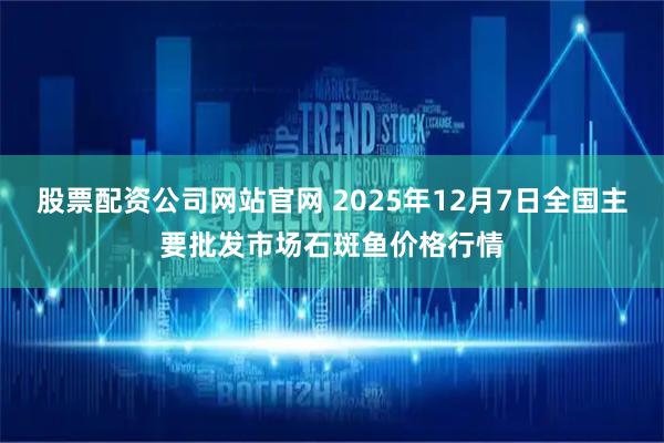 股票配资公司网站官网 2025年12月7日全国主要批发市场石斑鱼价格行情