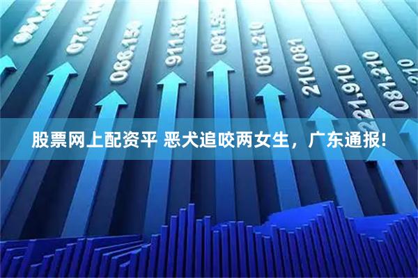 股票网上配资平 恶犬追咬两女生，广东通报!