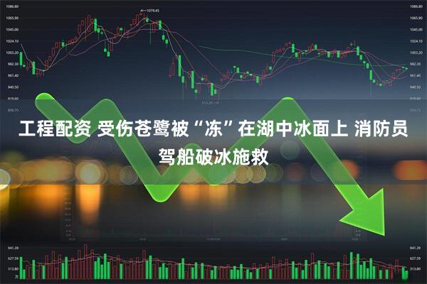 工程配资 受伤苍鹭被“冻”在湖中冰面上 消防员驾船破冰施救