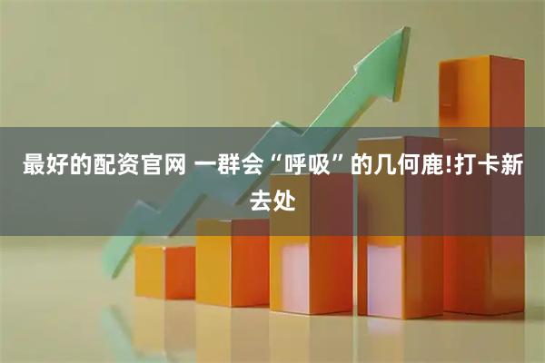 最好的配资官网 一群会“呼吸”的几何鹿!打卡新去处