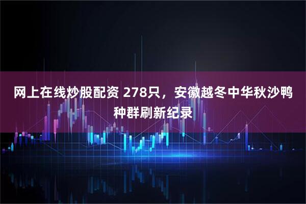 网上在线炒股配资 278只，安徽越冬中华秋沙鸭种群刷新纪录